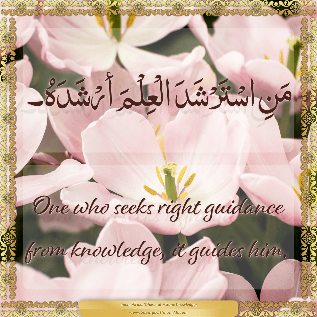 One who seeks right guidance from knowledge, it guides him.